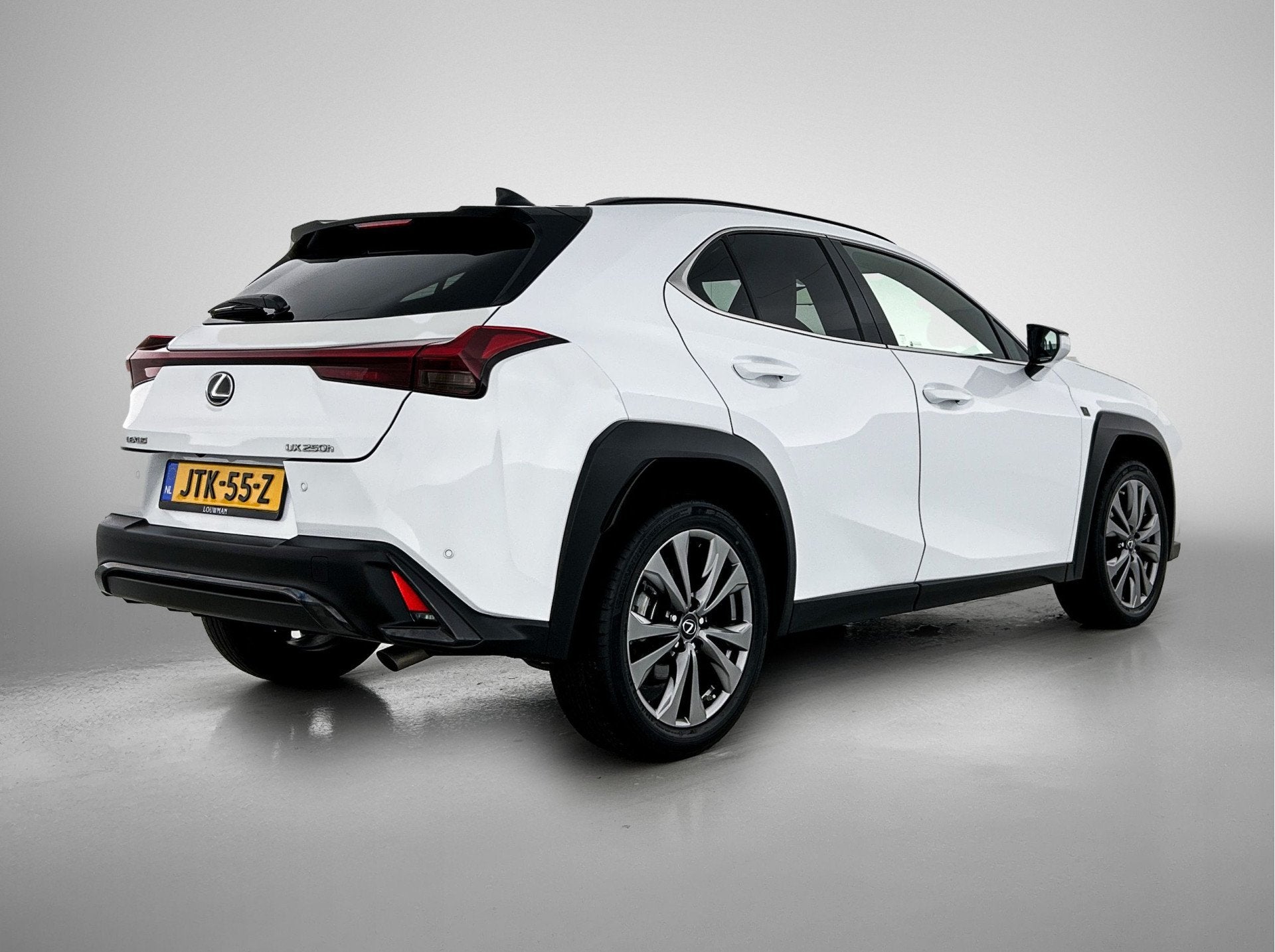 Lexus UX 250h F Sport Design | Navigatie | PDC | (bj 2024), 12 maanden, 4 cilinders, Wit, Leder