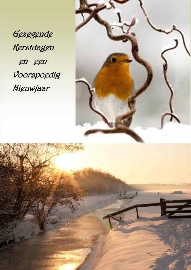 NIEUW Diverse FOTOKAARTEN GEZEGENDE KERSTDAGEN EN EEN, Ophalen of Verzenden, Nieuw