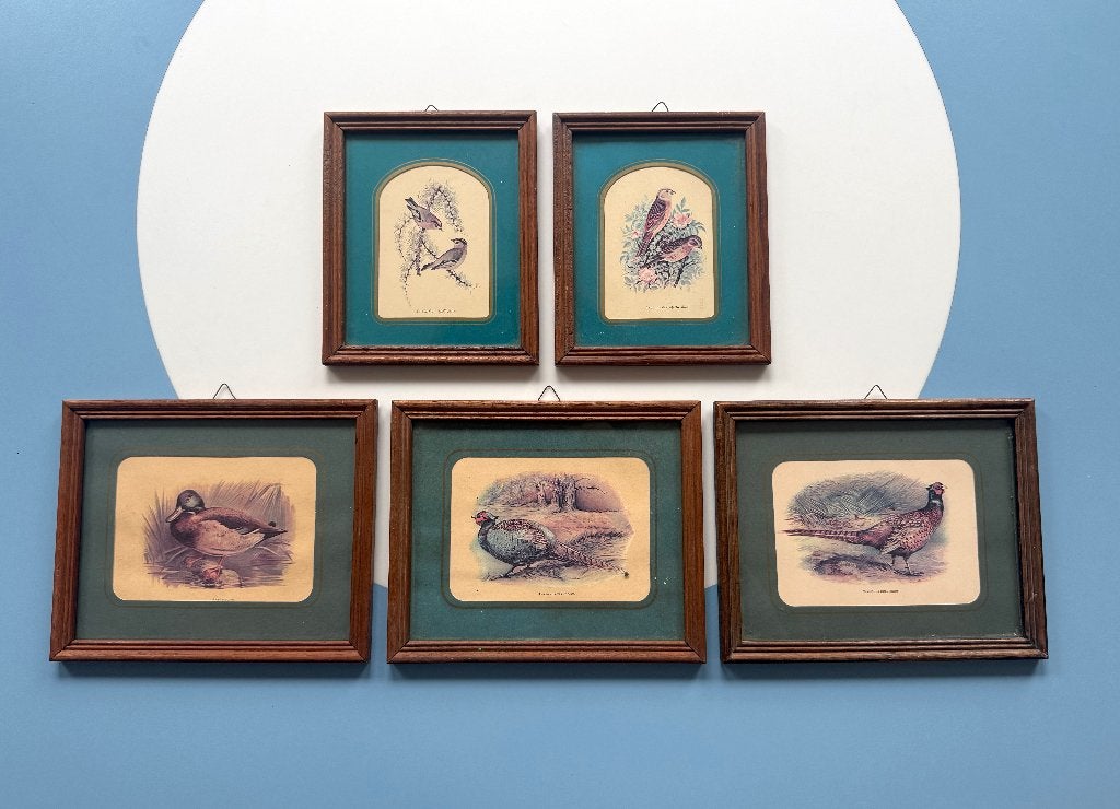 Set 5 vintage vogelprenten in houten lijst – ornithologie, 18 cm, Ingelijst, 1950 - 1999, Overige technieken