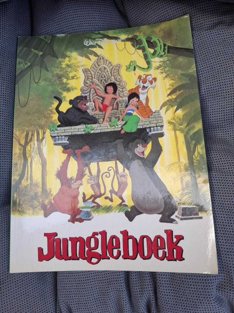 Stripboek Jungleboek, Boeken, Ophalen of Verzenden, Zo goed als nieuw