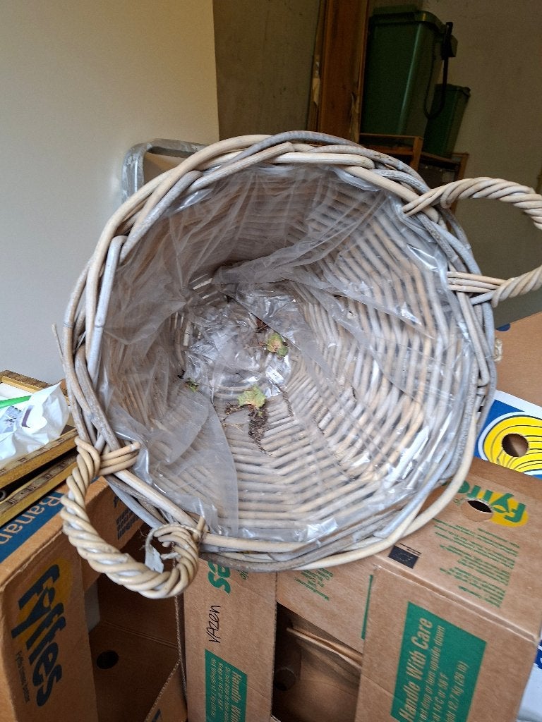 Rotan manden, Overige materialen, Rond, Nieuw, Ophalen of Verzenden