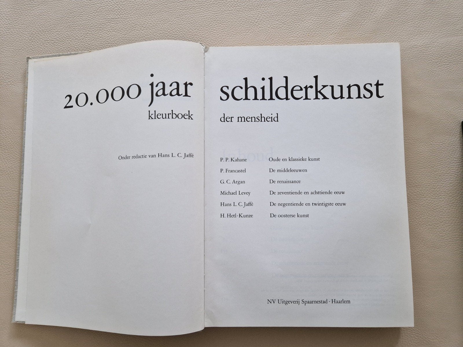 20.000 jaar schilderkunst der mensheid, Ophalen of Verzenden, Gelezen, Overige onderwerpen