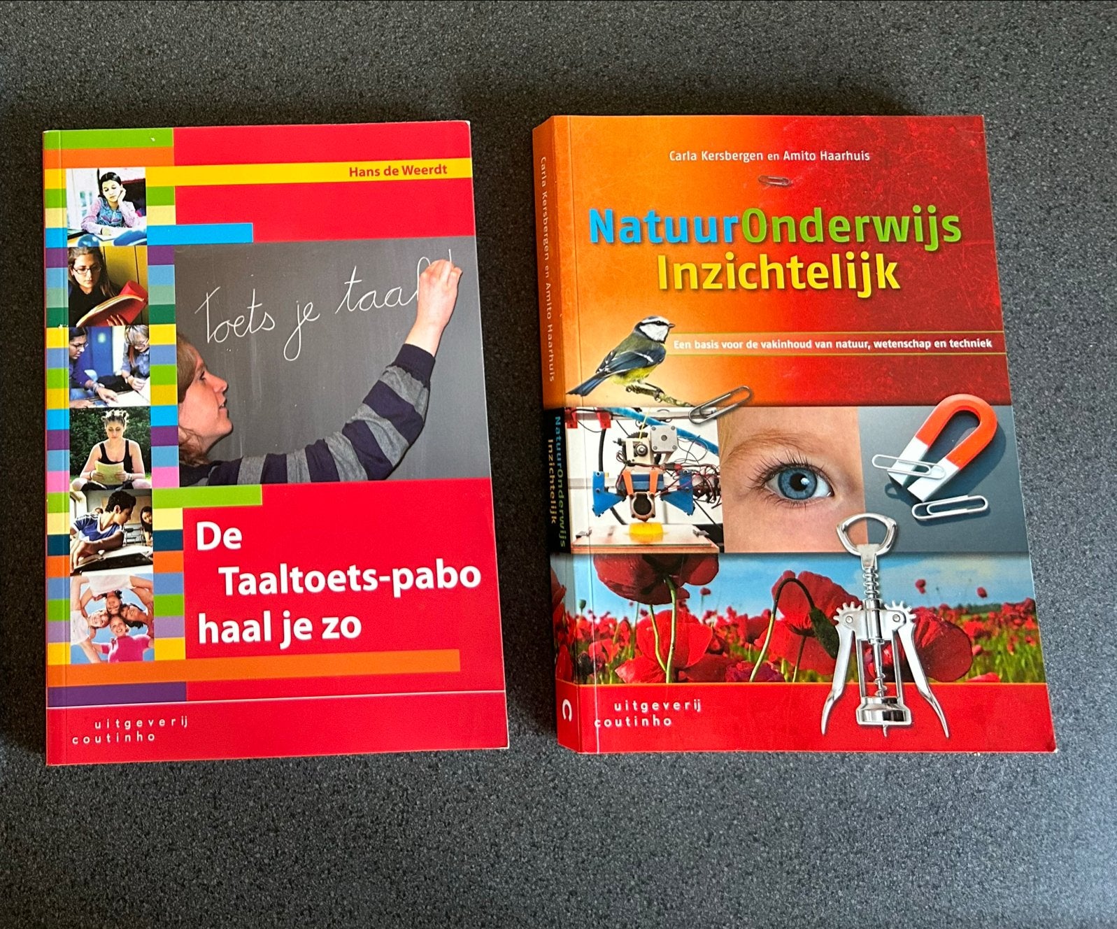 Natuuronderwijs Inzichtelijk & De Taaltoets-pabo haal je zo, Boeken, Ophalen of Verzenden, Zo goed als nieuw, HBO