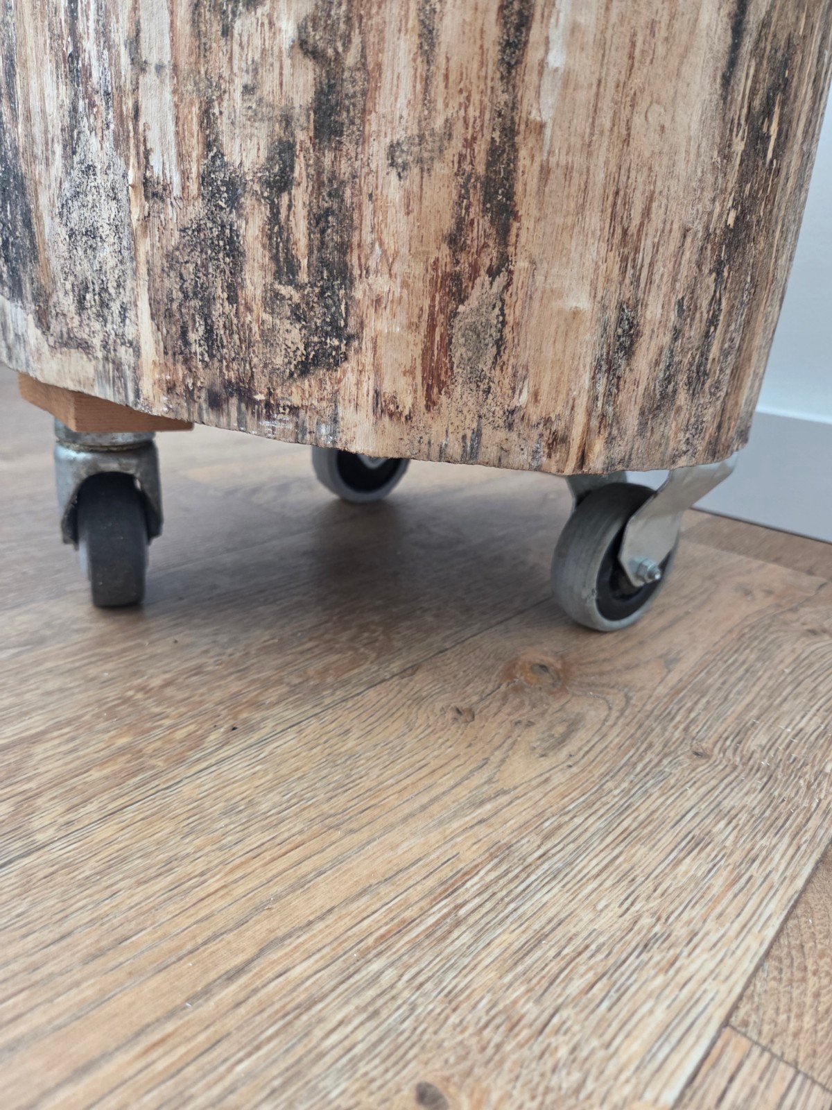 boomstammetje, Ophalen, 25 tot 50 cm, Rond, 50 tot 100 cm
