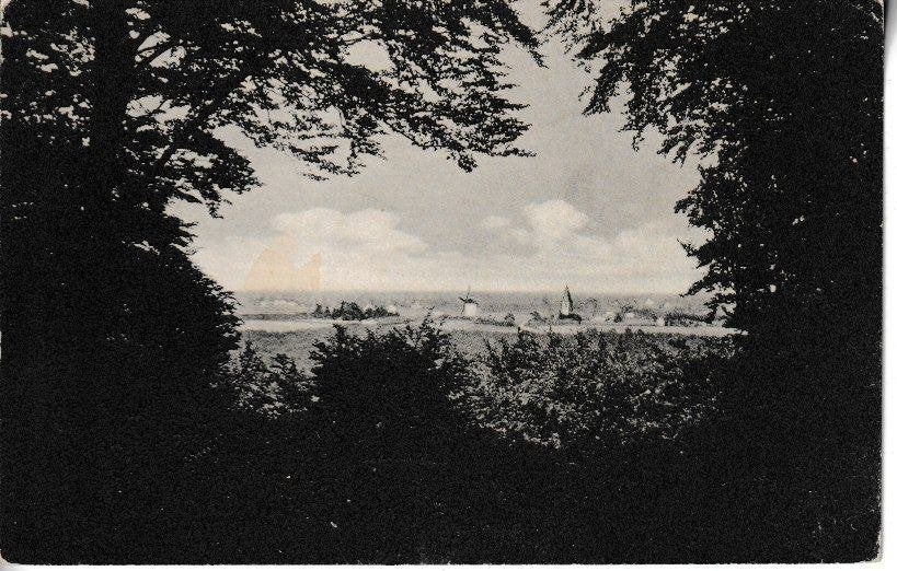 PANORAMA ZEDDA-MONTFERLAND, Ophalen of Verzenden, Gelopen, Gelderland