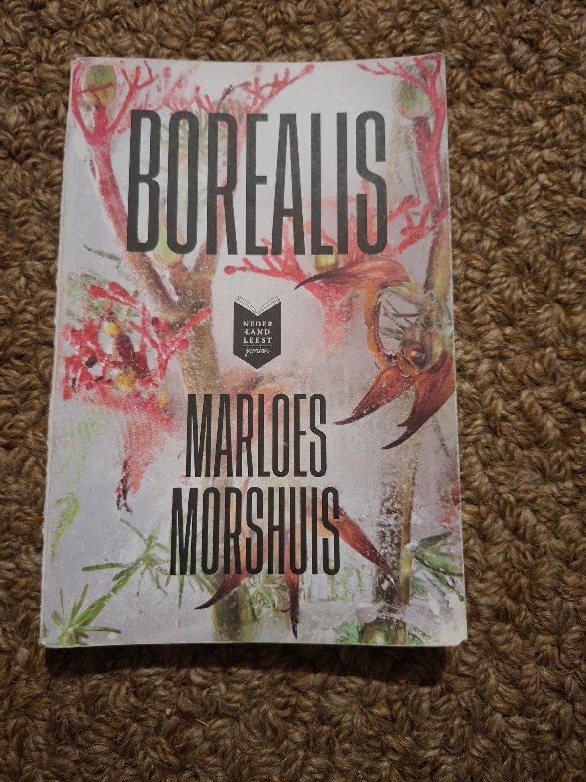 Borealis - Marloes Morshuis (Jeugdboek), Verzenden, Gelezen, Marloes Morshuis, Fictie algemeen