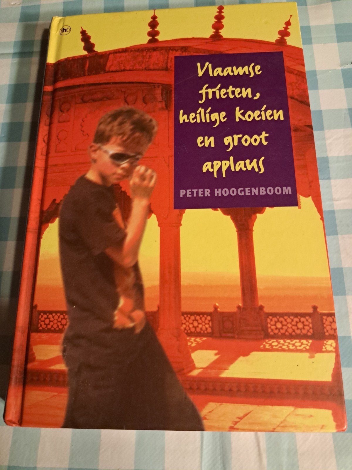 K: Vlaamse frieten, heilige koeien en groot applaus, Boeken, Ophalen of Verzenden, Zo goed als nieuw, Peter Hoogenboom, Nederland