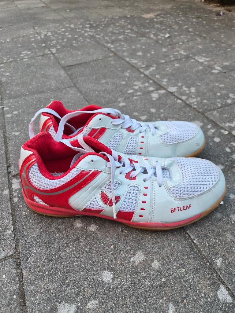 Sport- gymschoenen 42/43, Ophalen, Zo goed als nieuw, Overige kleuren, Sportschoenen