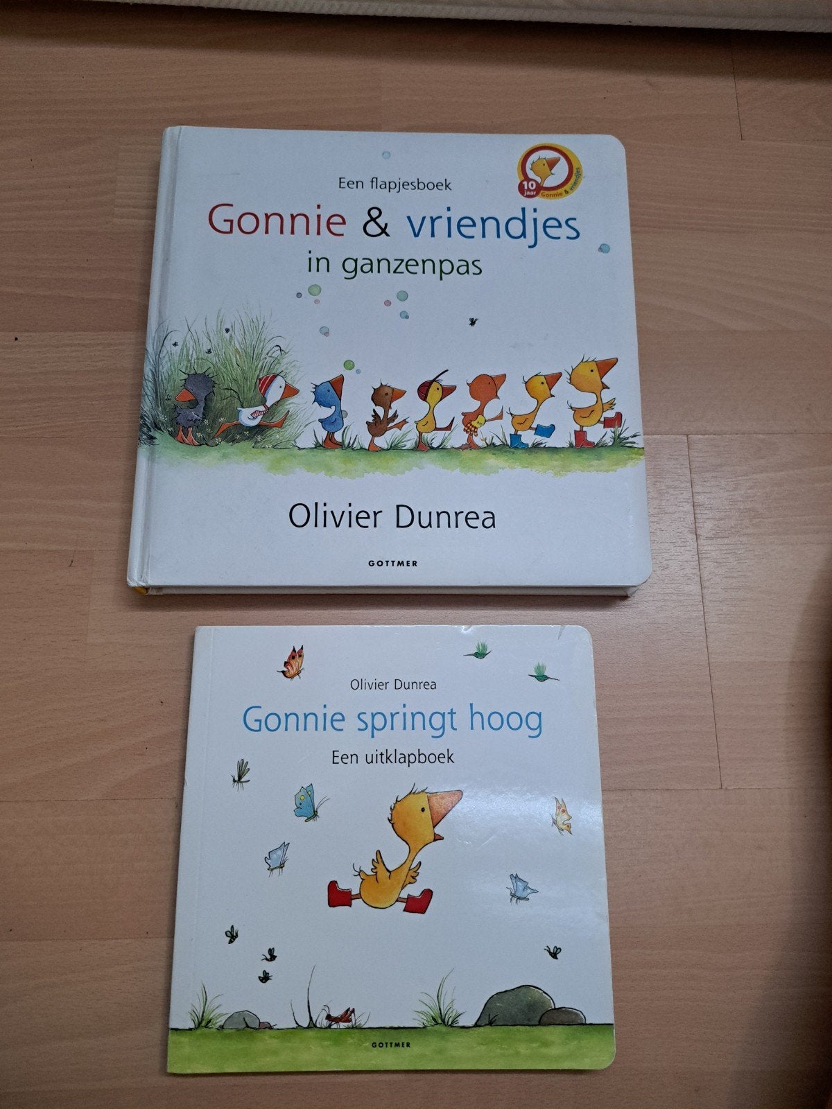 Gonnie en vriendjes flapjesboek en uitklapboek, Boeken, Ophalen of Verzenden, Zo goed als nieuw, 3 tot 4 jaar