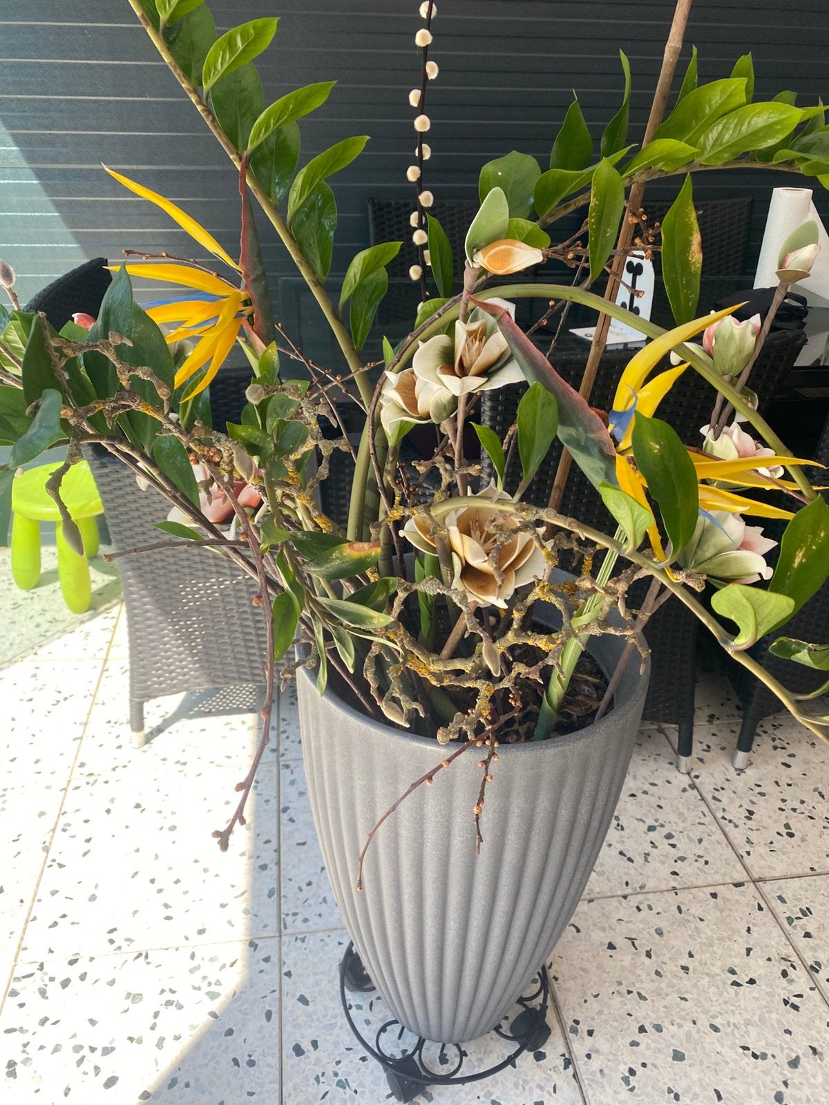 Te koop binnen plant, Ophalen, Halfschaduw, Minder dan 100 cm