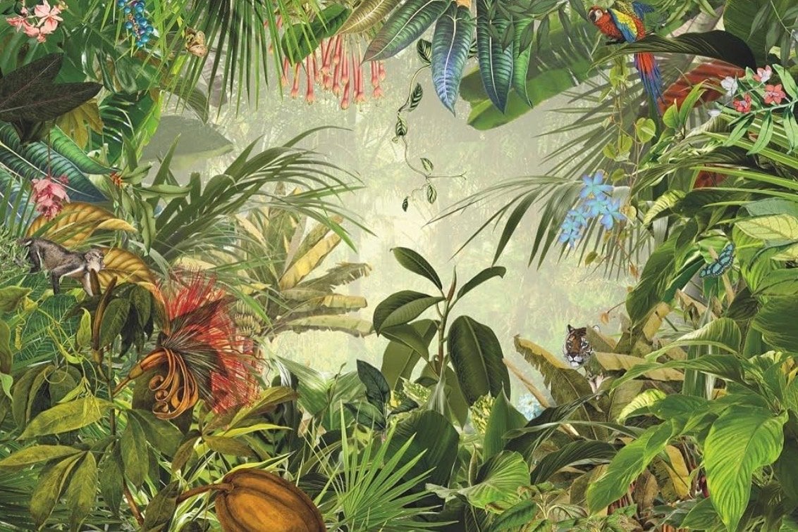 Fotobehang - Jungle 368 x 248 cm, Ophalen, Natuurlijk, Komar, Fotobehang