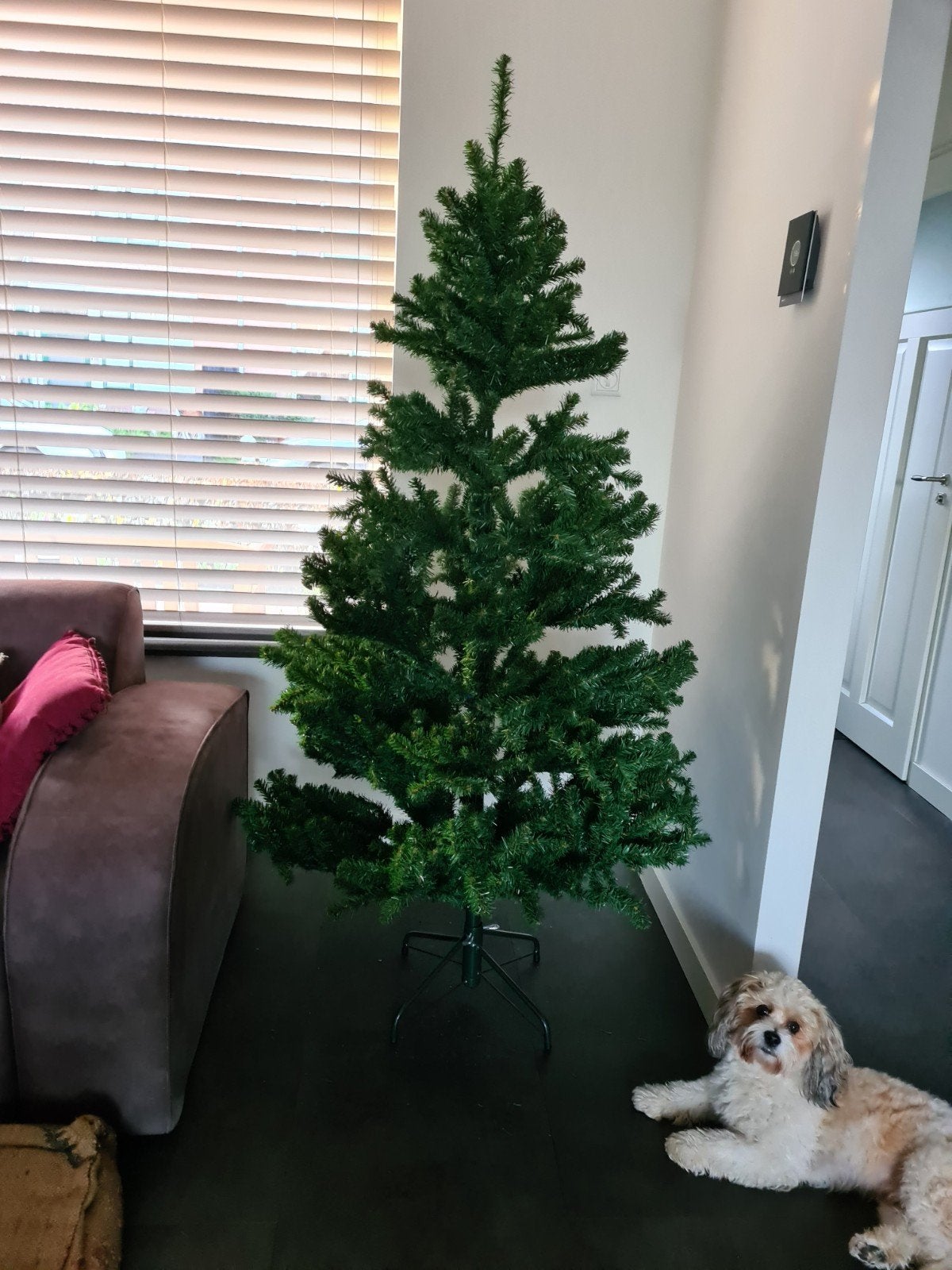 Kerstboom 1,85 m, Ophalen