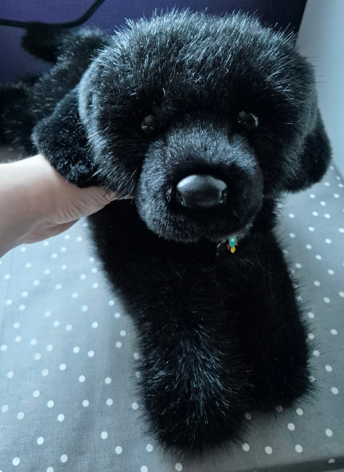 Douglas cuddle toys Jake Dlux black lab honden knuffel ESSA, Overige merken, Overige karakters, Nieuw, Zwart