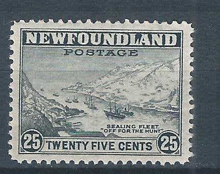 D181 - Canada - Newfoundland - MiNr 182C (postfris), Postzegels en Munten, Ophalen of Verzenden, Postfris, Noord-Amerika