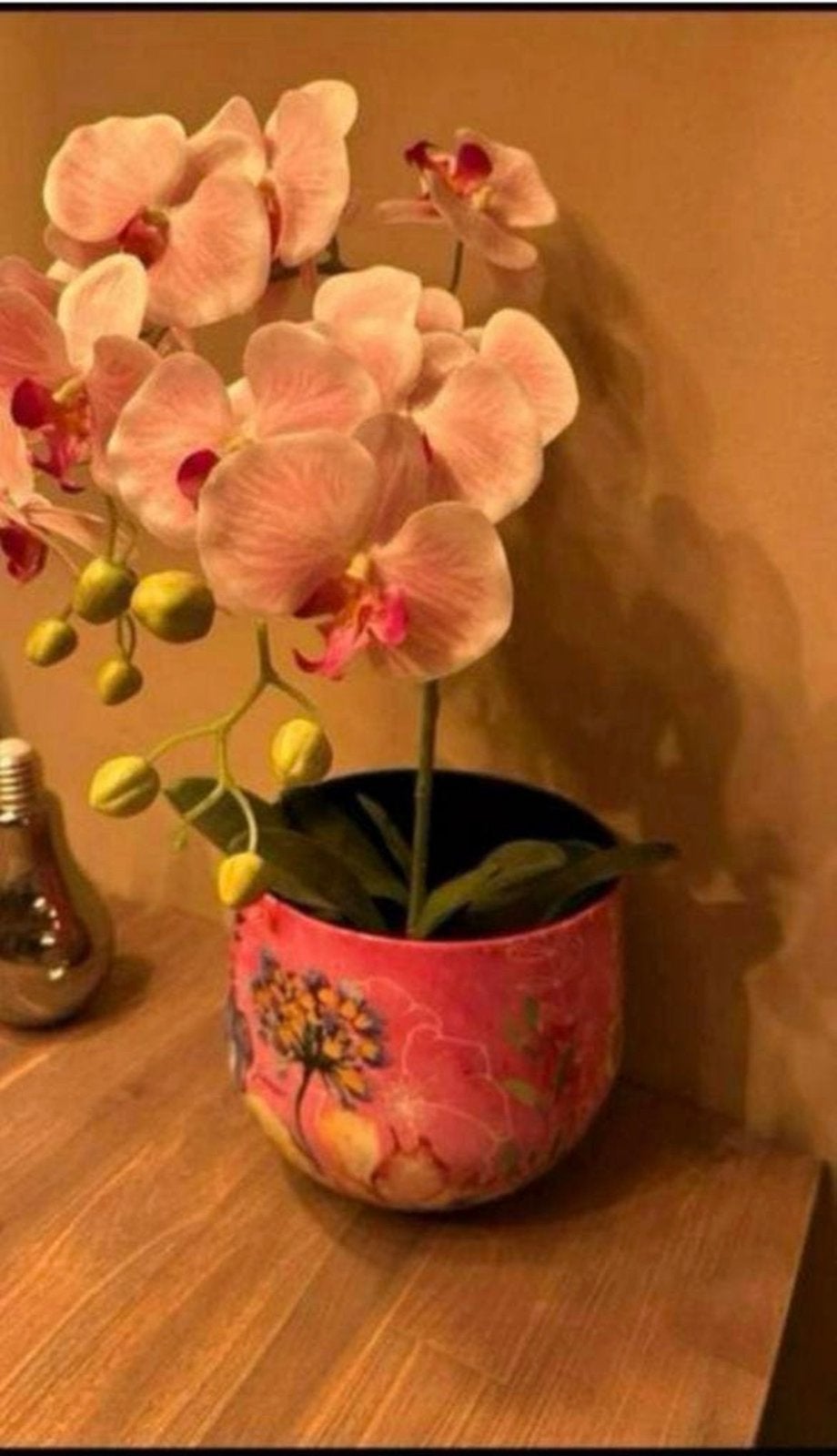 Nieuwe roze bloempot met orchidee, Ophalen, Nieuw