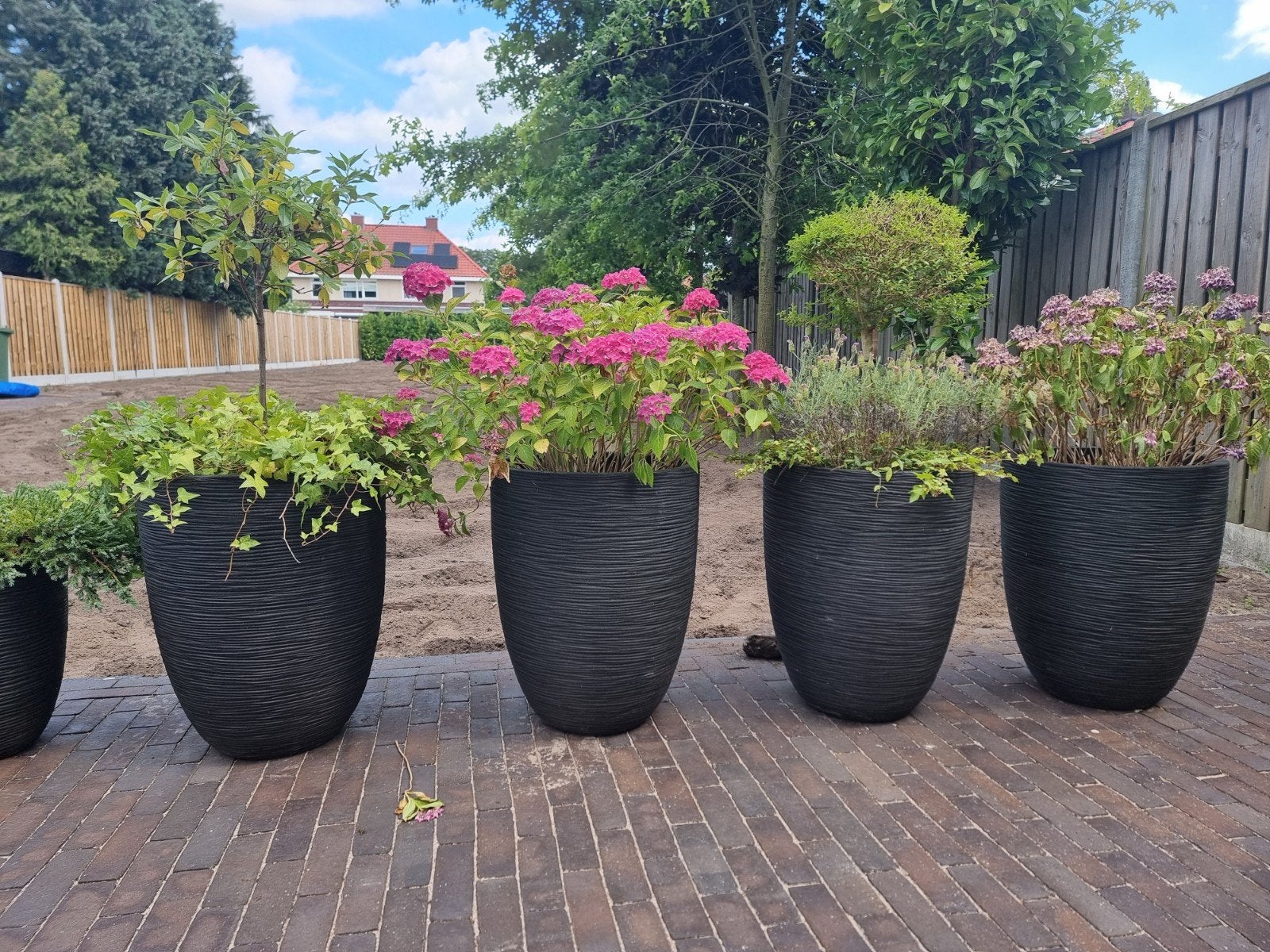 Capi potten zwart 4 x middel en 4x groot incl planten, Ophalen, Overige soorten, Volle zon