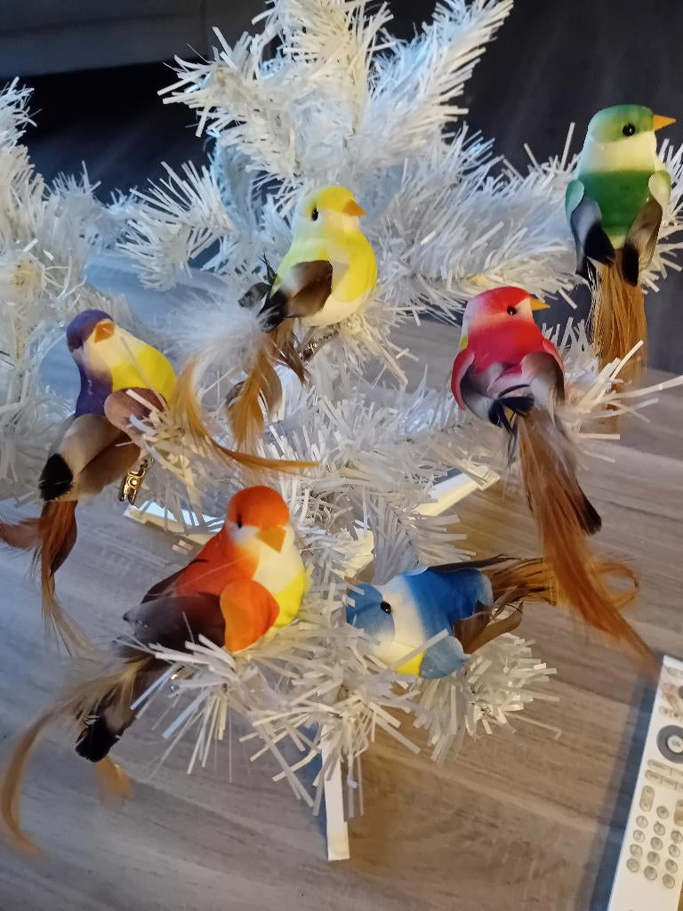 6 stuks mooie vogeltjes met veren., Verzenden, Nieuw