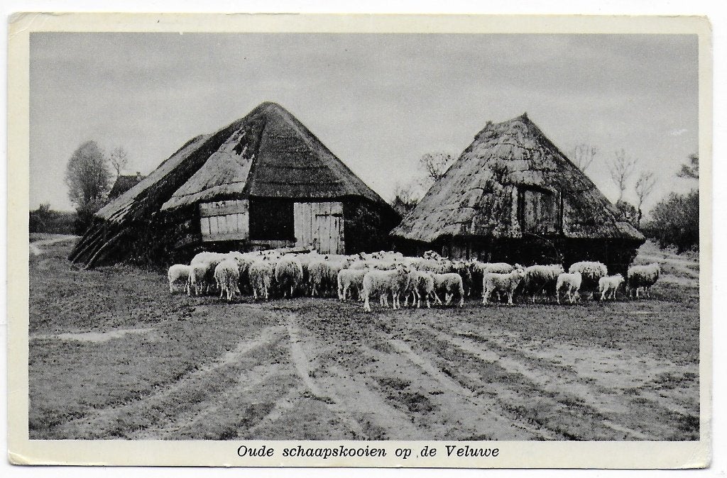 Vlissingen standbeeld Frans Naerebout Ansichtkaart ( B6978, Ophalen of Verzenden, 1980 tot heden, Gelopen, Zeeland