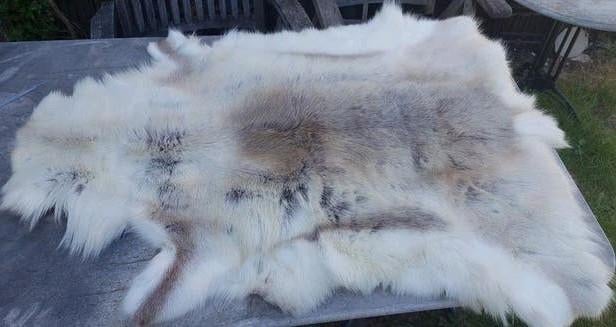 Prachtige rendiervacht, 100 tot 150 cm, Zo goed als nieuw, Natuurlijk, Scandinavisch, Rustiek, 50 tot 100 cm