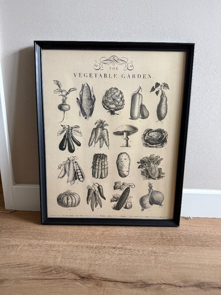 Klassieke groenteposter, 50 – 75, Minder dan 50 cm, Nieuw, Ophalen of Verzenden