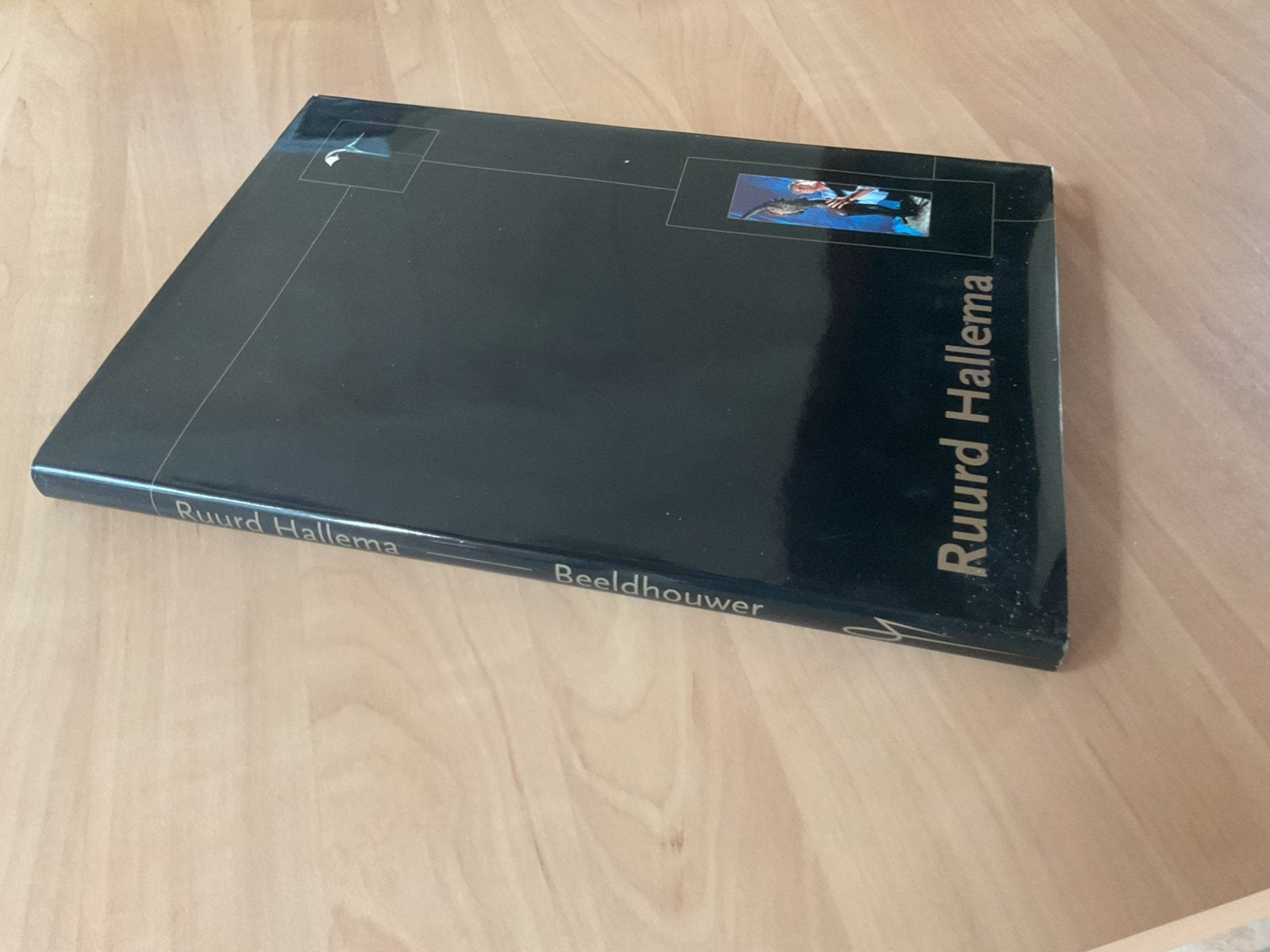 Ruurd Hallema ( beeldend kunstenaar ) Uitgave 2001, Ophalen of Verzenden, Zo goed als nieuw