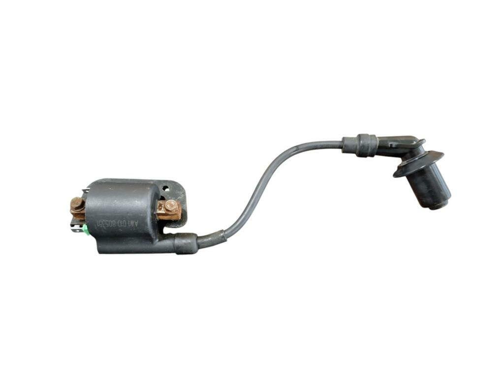 Bobine origineel Sym fiddle injectie, Gebruikt, Ophalen of Verzenden