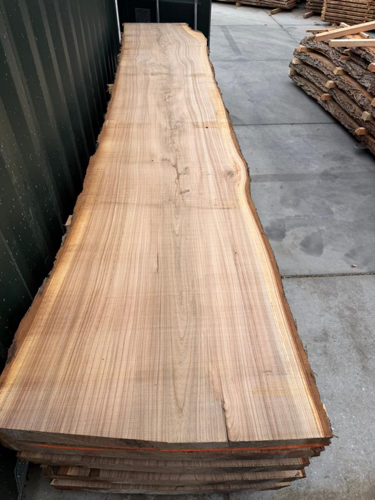 10x grote boomstambladen voor 1500 euro !!, Tuin en Terras, Palen, Balken en Planken, Ophalen of Verzenden, Zo goed als nieuw
