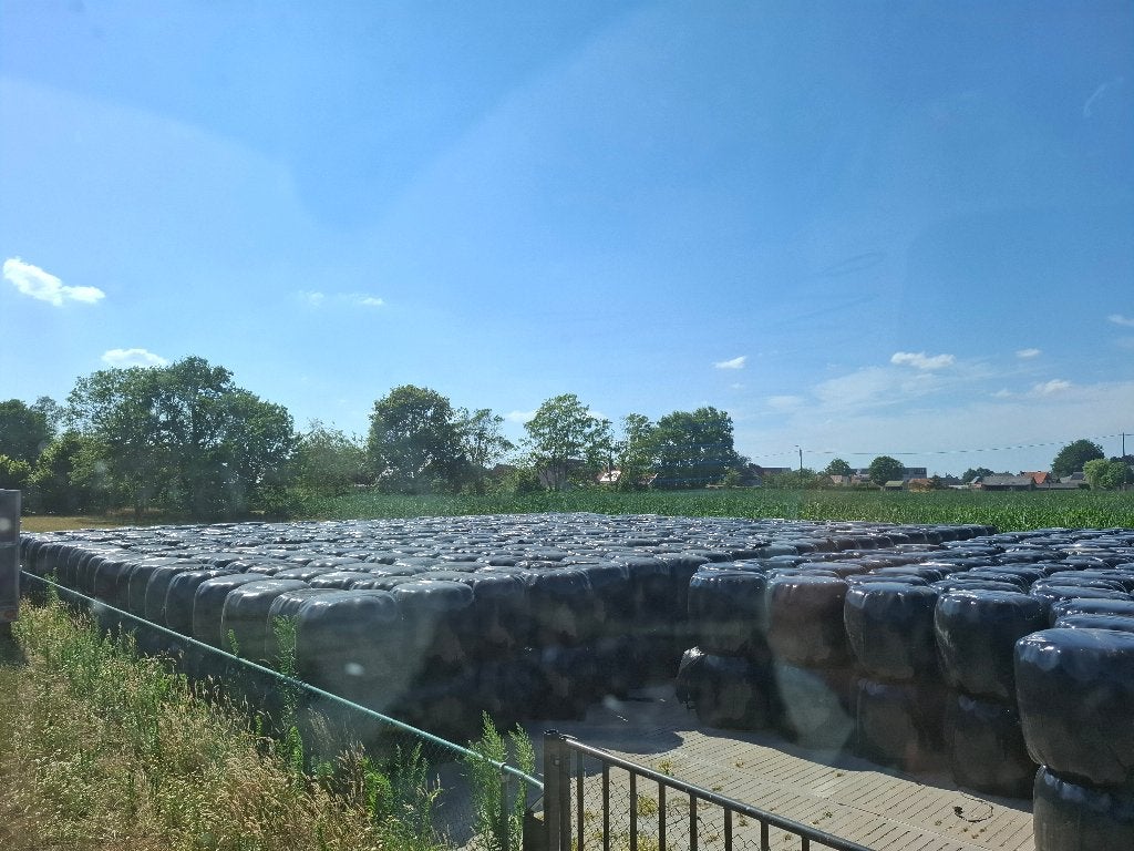 Midibalen, Dieren en Toebehoren, Ophalen of Verzenden, Vee