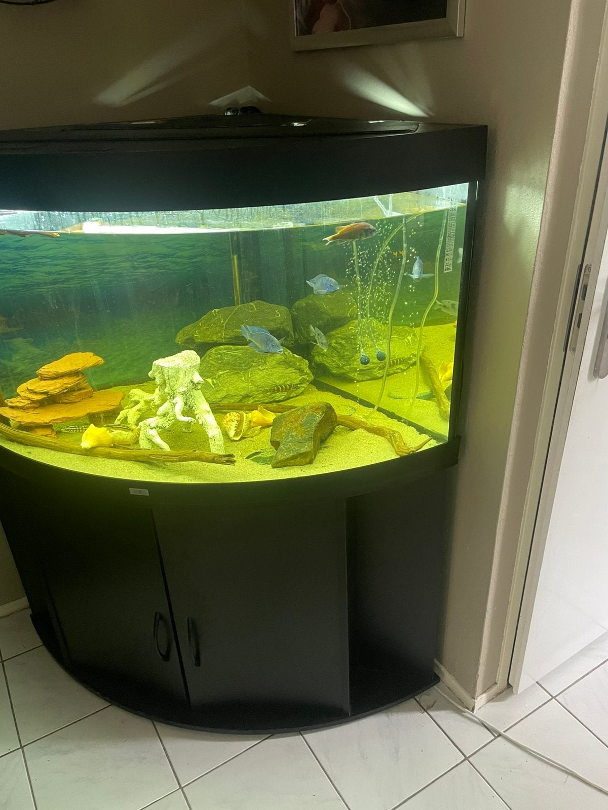 Juwel 350l hoek aquarium, Dieren en Toebehoren, Vissen | Aquaria en Toebehoren, Ophalen, Zo goed als nieuw, Leeg aquarium