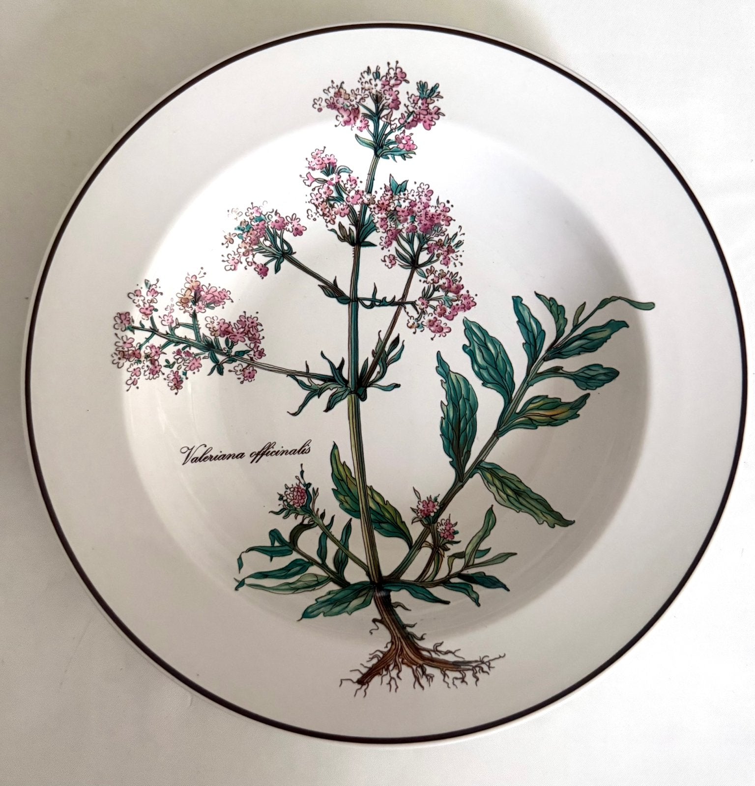 Villeroy & Boch - Botanica diep bord *design*vintage*, Villeroy & Boch, Nieuw, Ophalen of Verzenden, Bord(en)