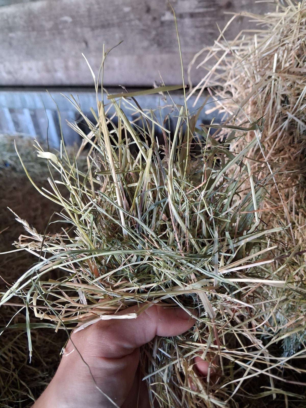 hooi te koop, Dieren en Toebehoren, Ophalen, Vee