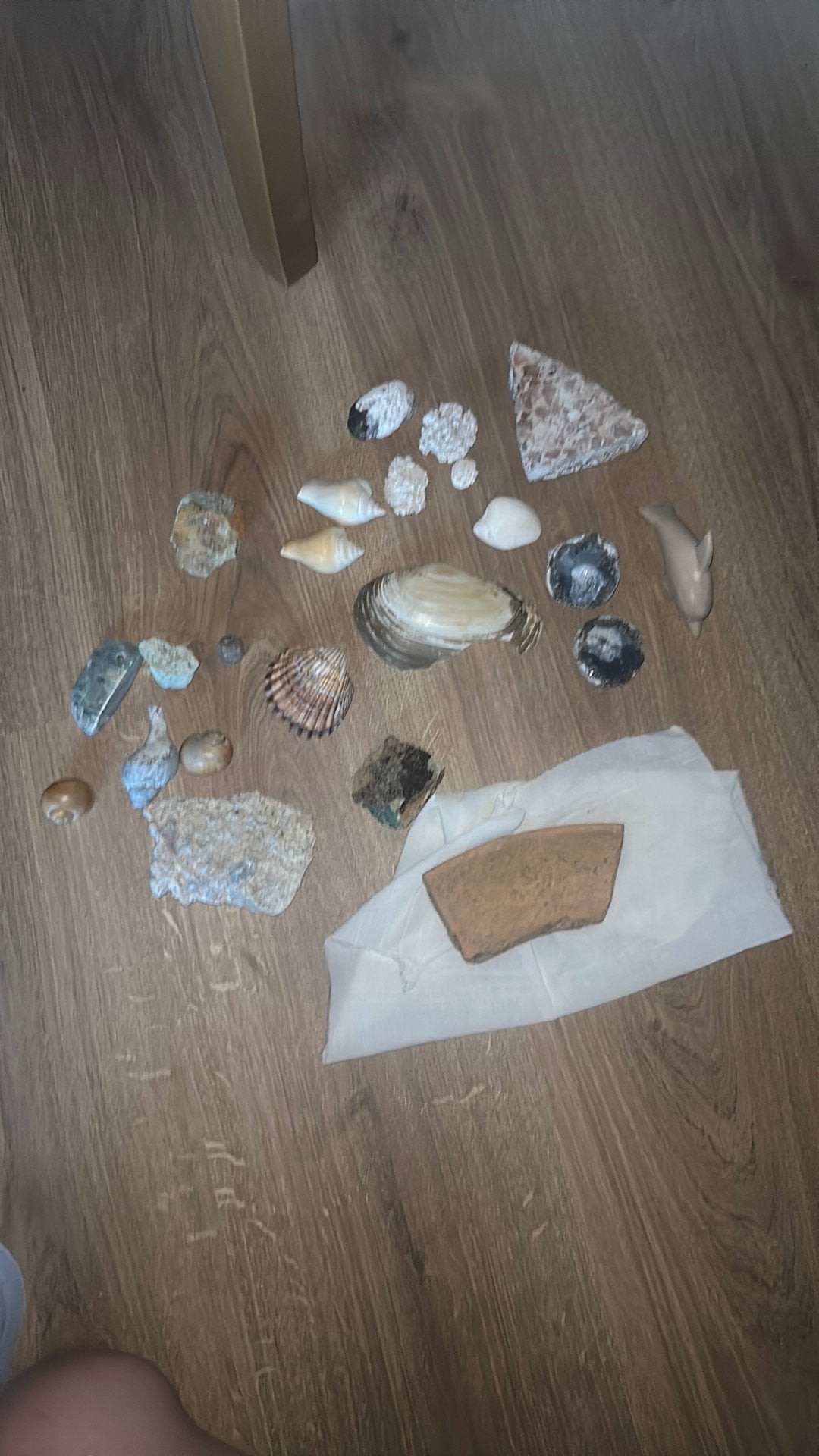 Collectie van mineralen, kristallen, schelpen, etc, Ophalen of Verzenden
