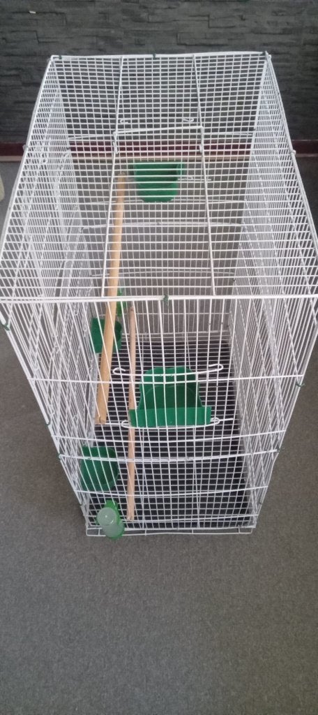 Vogelkooi, Ophalen of Verzenden, Nieuw, Metaal, Vogelkooi