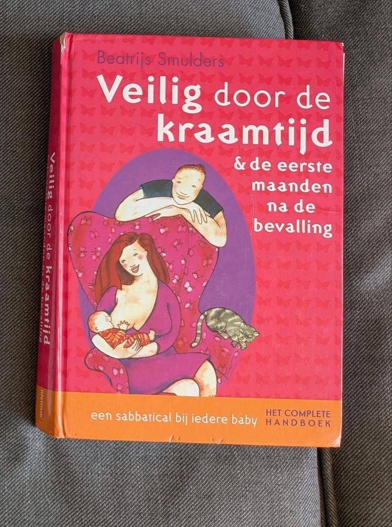Veilig door de kraamtijd - Beatrijs Smulders, Boeken, Zwangerschap en Opvoeding, Ophalen of Verzenden, Gelezen, Zwangerschap en Bevalling