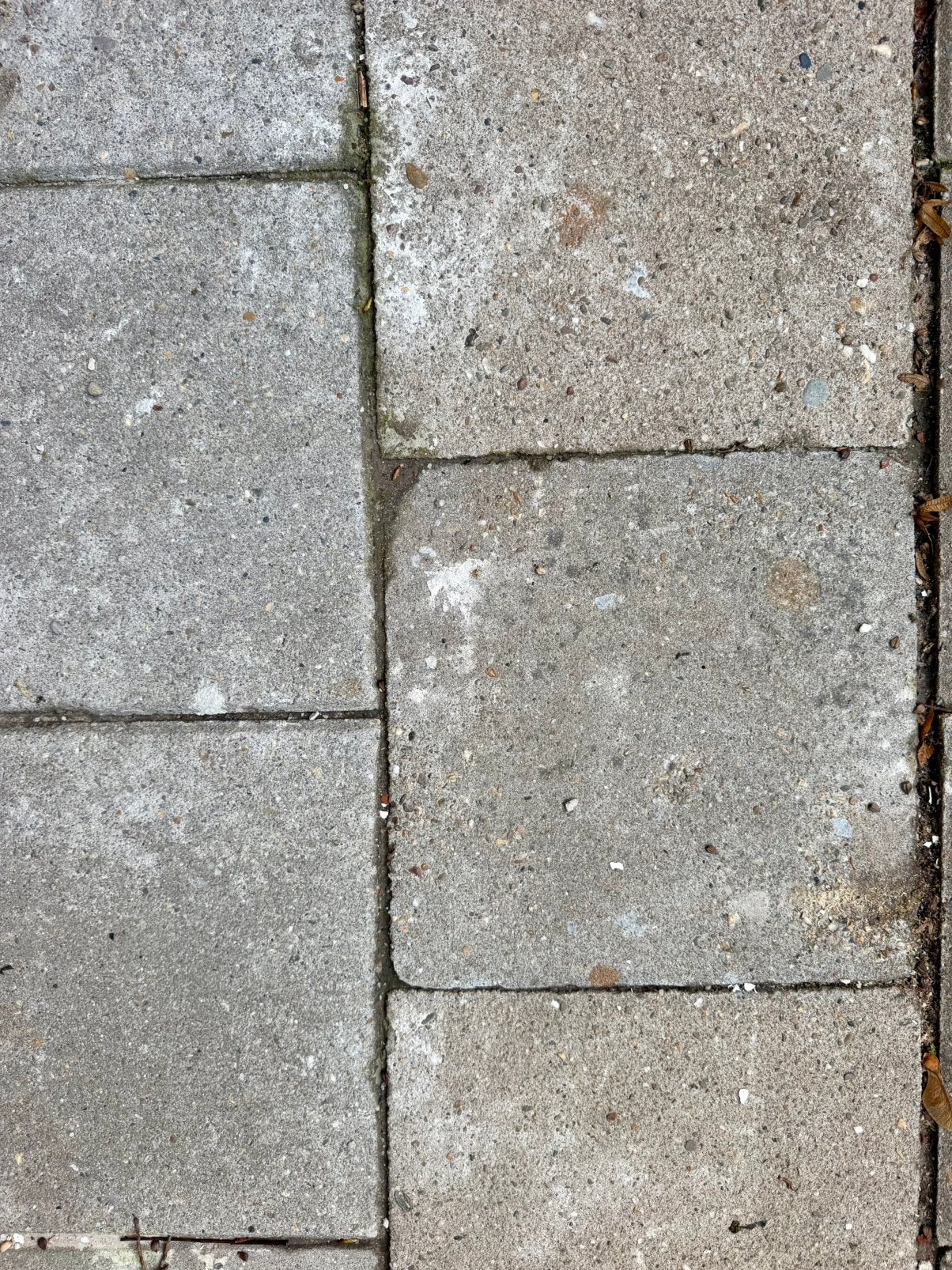 Gratis af te halen: ca. 500 stuks 30x30 betonnen stoeptegels, Tuin en Terras, Ophalen, Gebruikt, Beton, Terrastegels