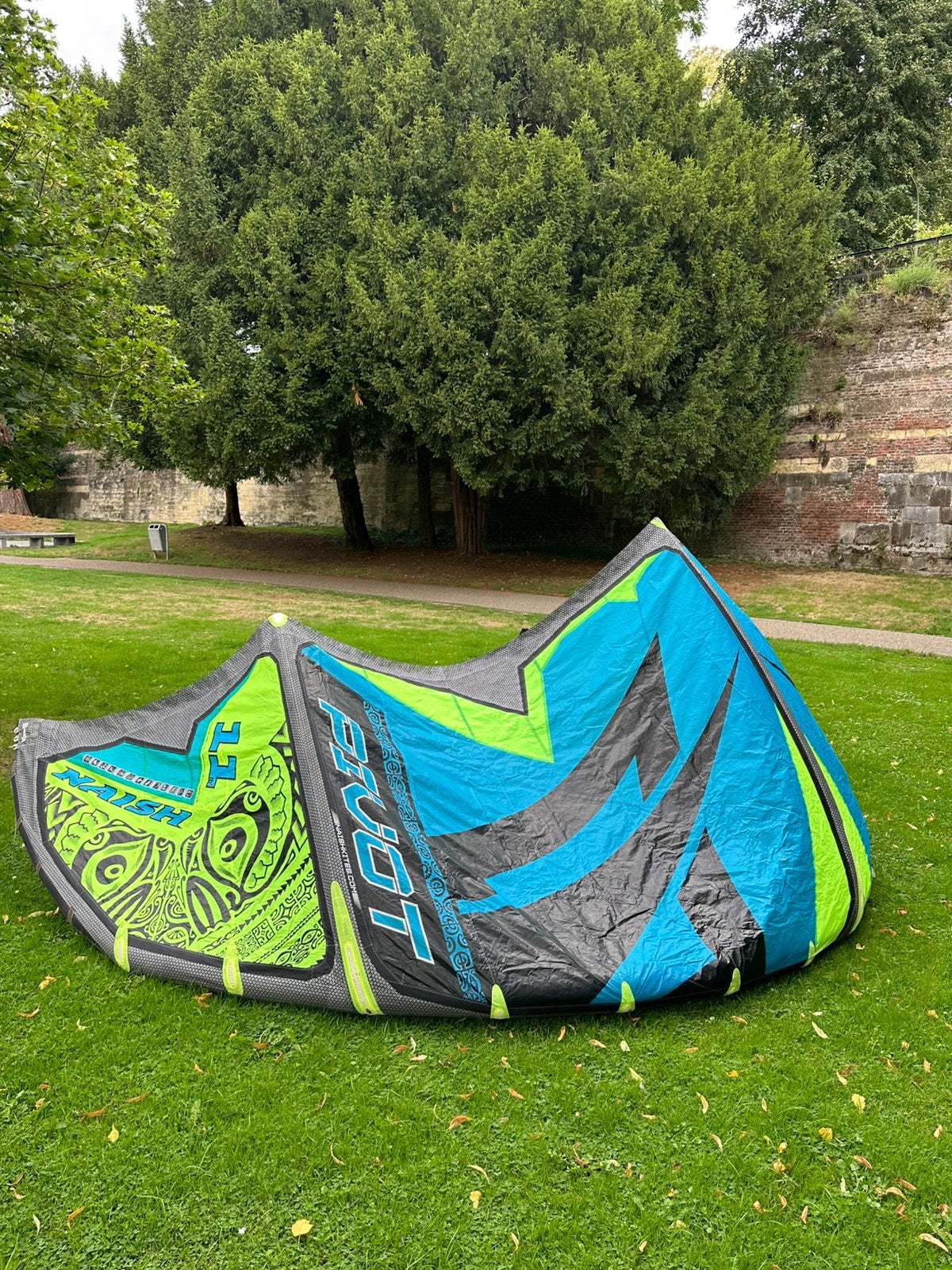 Kitesurf Naish Pivot 11m Kite, Watersport en Boten, Gebruikt, Geen board, Kite, 11 m²