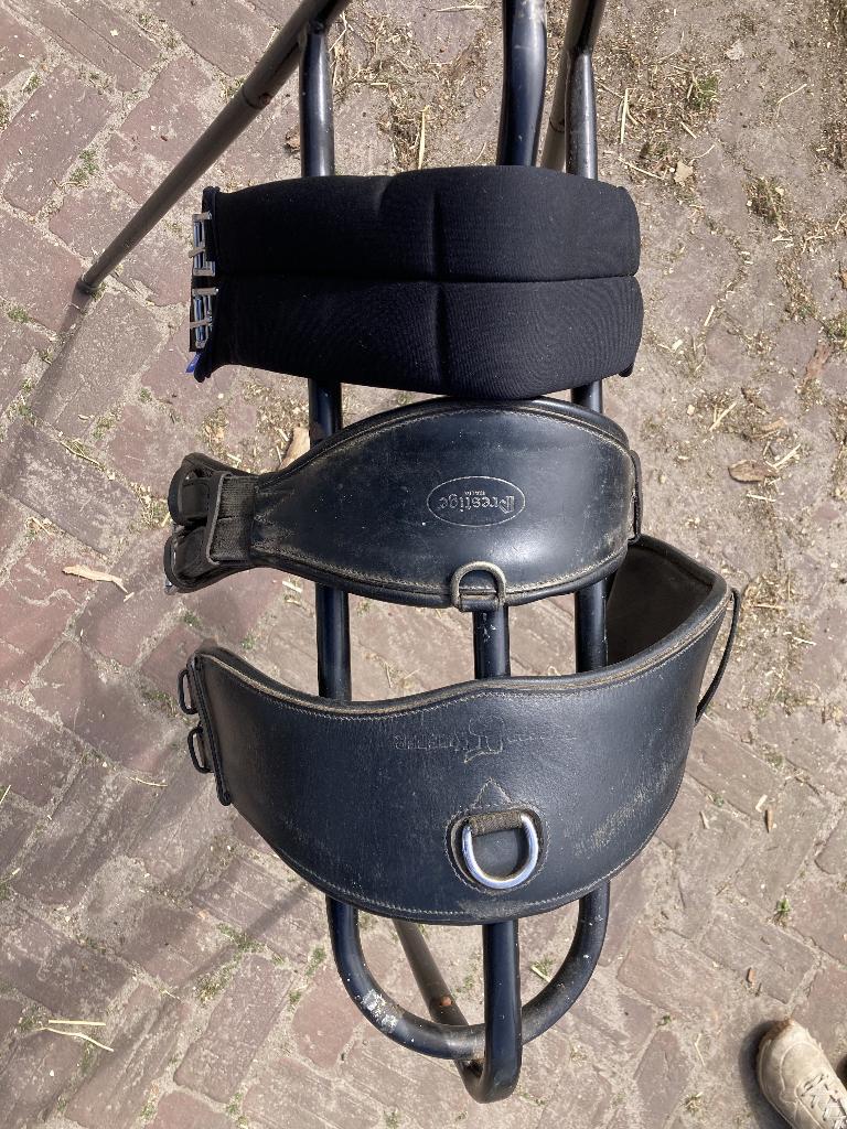 dressuursingels, Dieren en Toebehoren, Paarden en Pony's | Hoofdstellen en Tuigage, Ophalen of Verzenden, Zo goed als nieuw, Dressuur