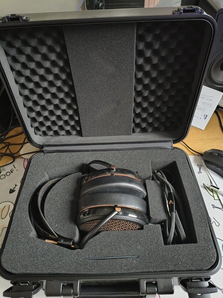 Audeze CRBN2 - Elektrostatische Hoofdtelefoon, Ophalen of Verzenden, Gebruikt, Overige merken