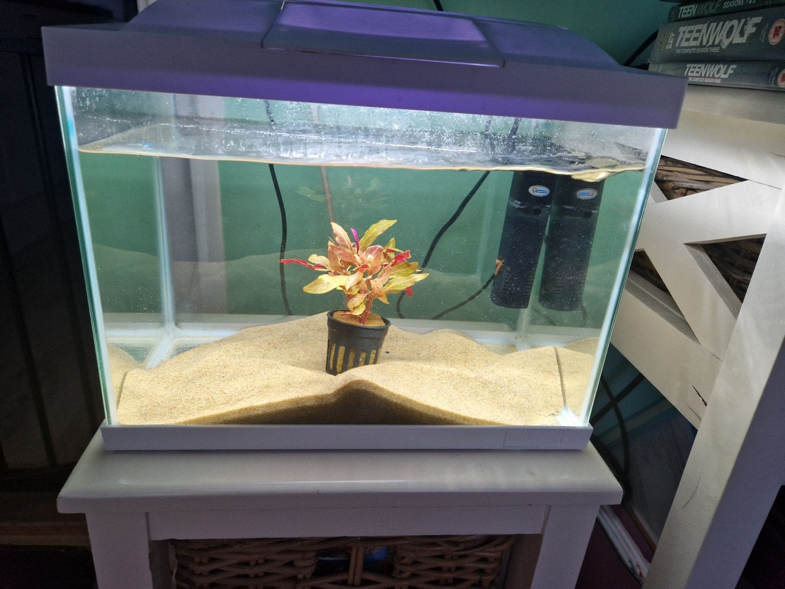 leuk compleet aquarium, Ophalen, Zo goed als nieuw, Gevuld zoetwateraquarium