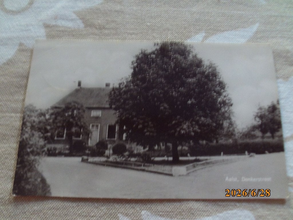 Aalst Donkerstraat kruispunt met boom 1957 Zaltbommel, Ophalen of Verzenden, 1940 tot 1960, Gelopen, Gelderland
