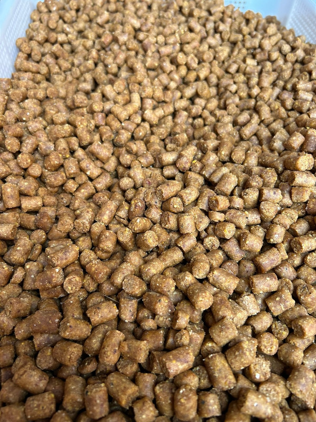 Karper pellets, koivoer, vijver voer, Watersport en Boten, Ophalen of Verzenden, Nieuw, Overige typen