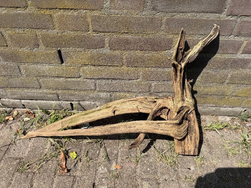 Kienhout, Dieren en Toebehoren, Ophalen of Verzenden, Zo goed als nieuw, Plant(en), Steen of Hout, Overige merken