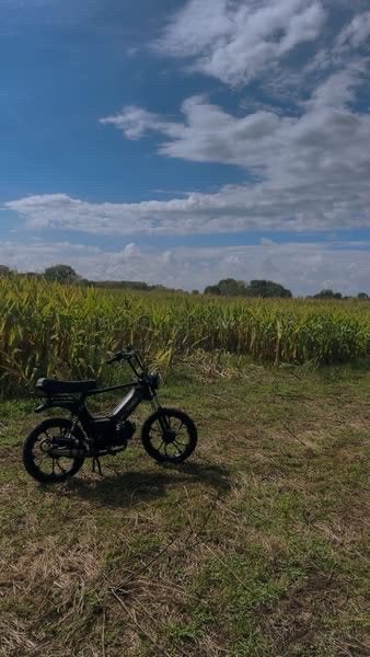 Tomos a35 65cc, Ophalen, Zo goed als nieuw, Standard
