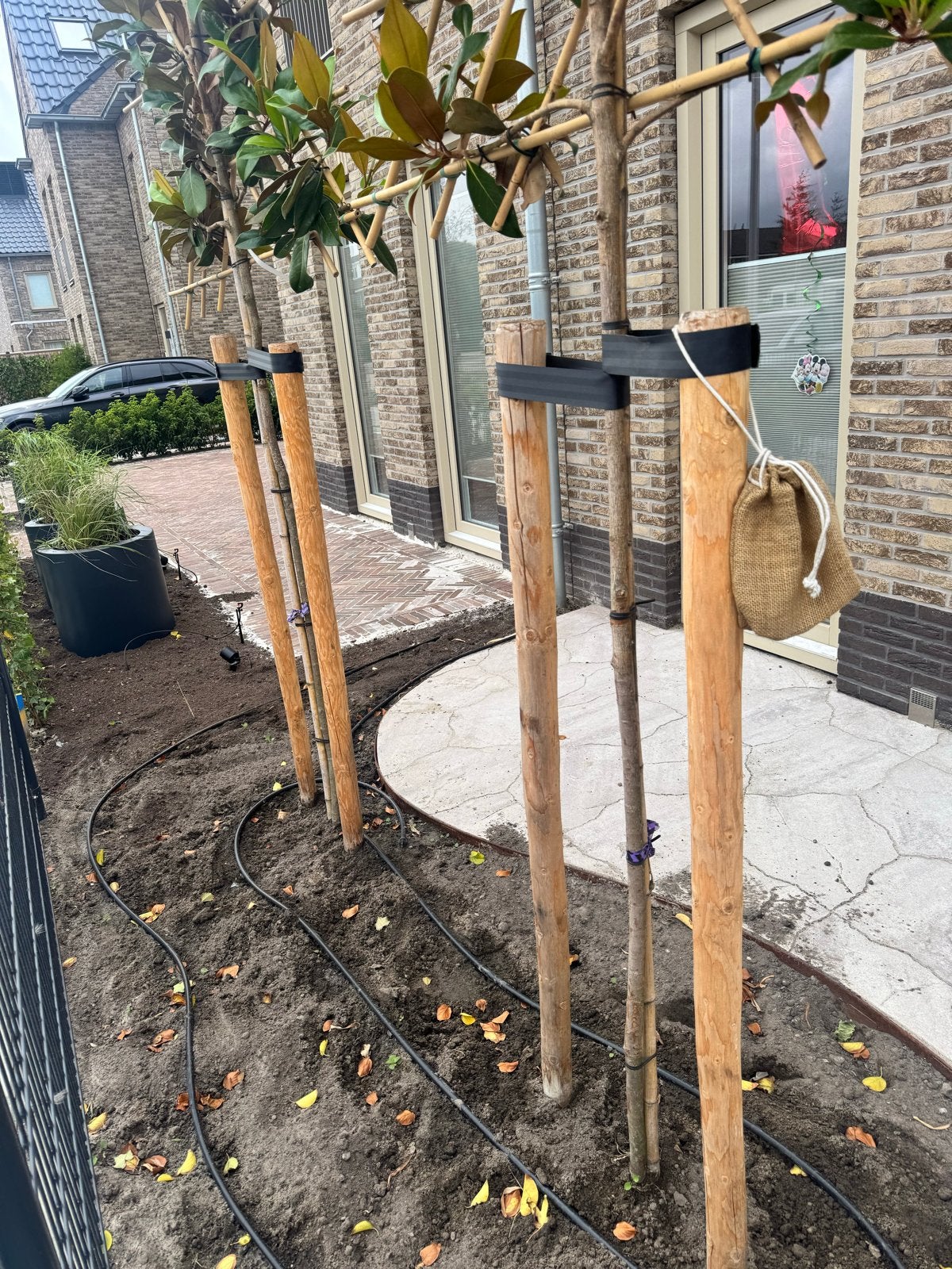 9 Kastanje palen voor boomversteviging + bevestigingsmateria, Ophalen, Nieuw, 180 tot 250 cm, Palen