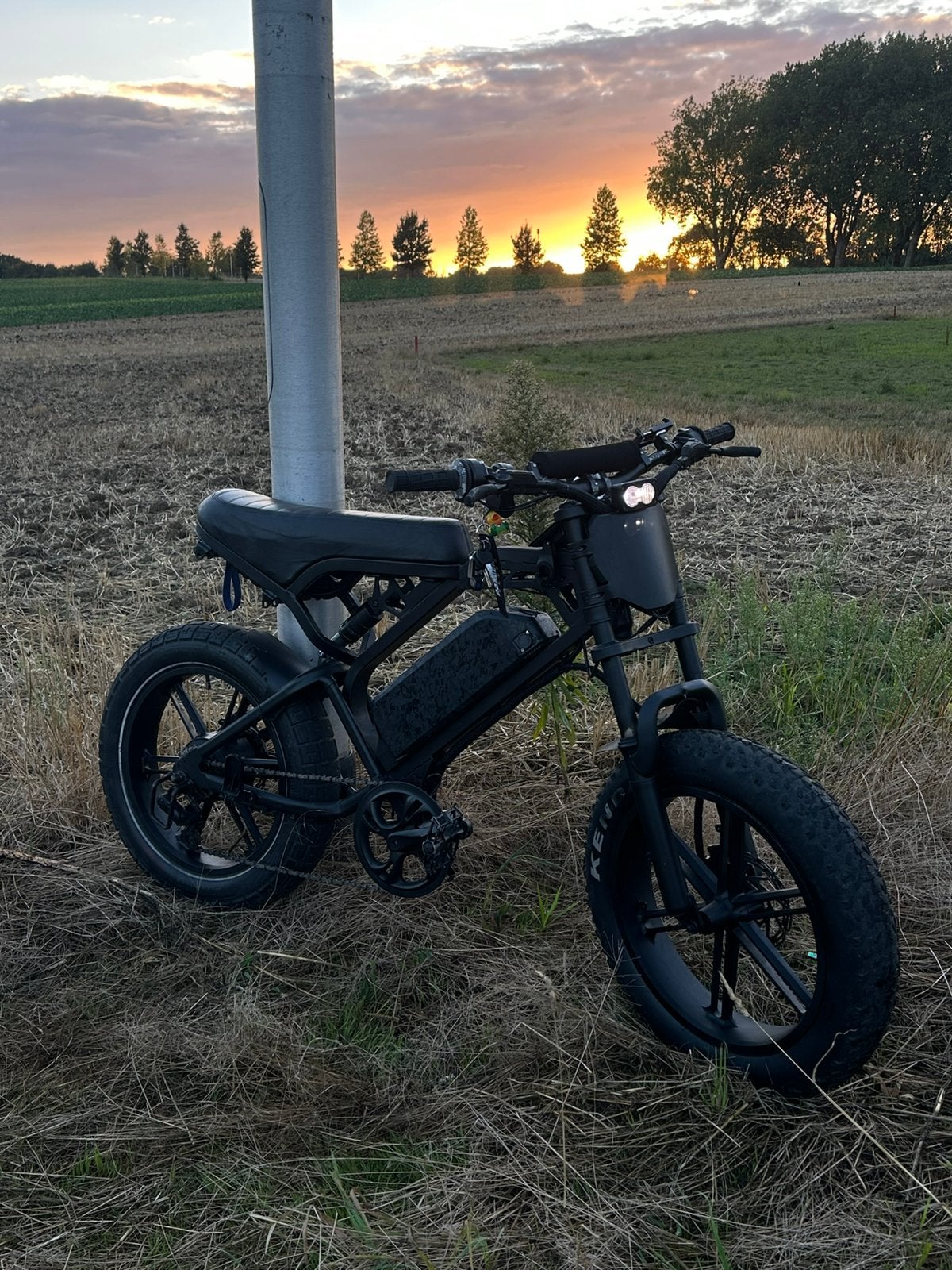 V20 Pro Custom, Ophalen, Zo goed als nieuw, Schijfrem, Overige typen