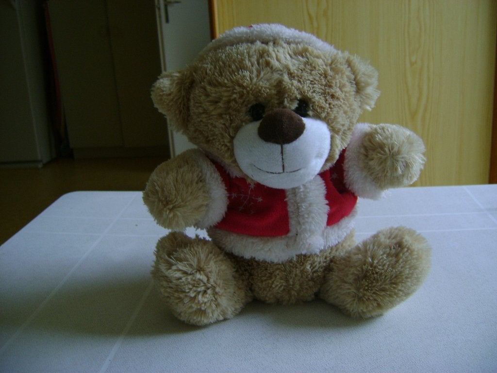 kerstbeer met kerst jas met cappuchon van eric is 25cm groot, Ophalen of Verzenden