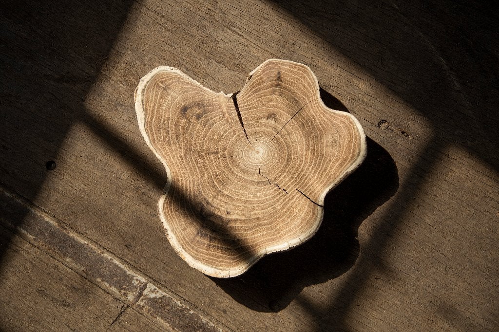 Boomstamschijven & boomsokkels | Lokaal hout | Tree ID, Ophalen, Overige typen, Nieuw, 50 mm of meer