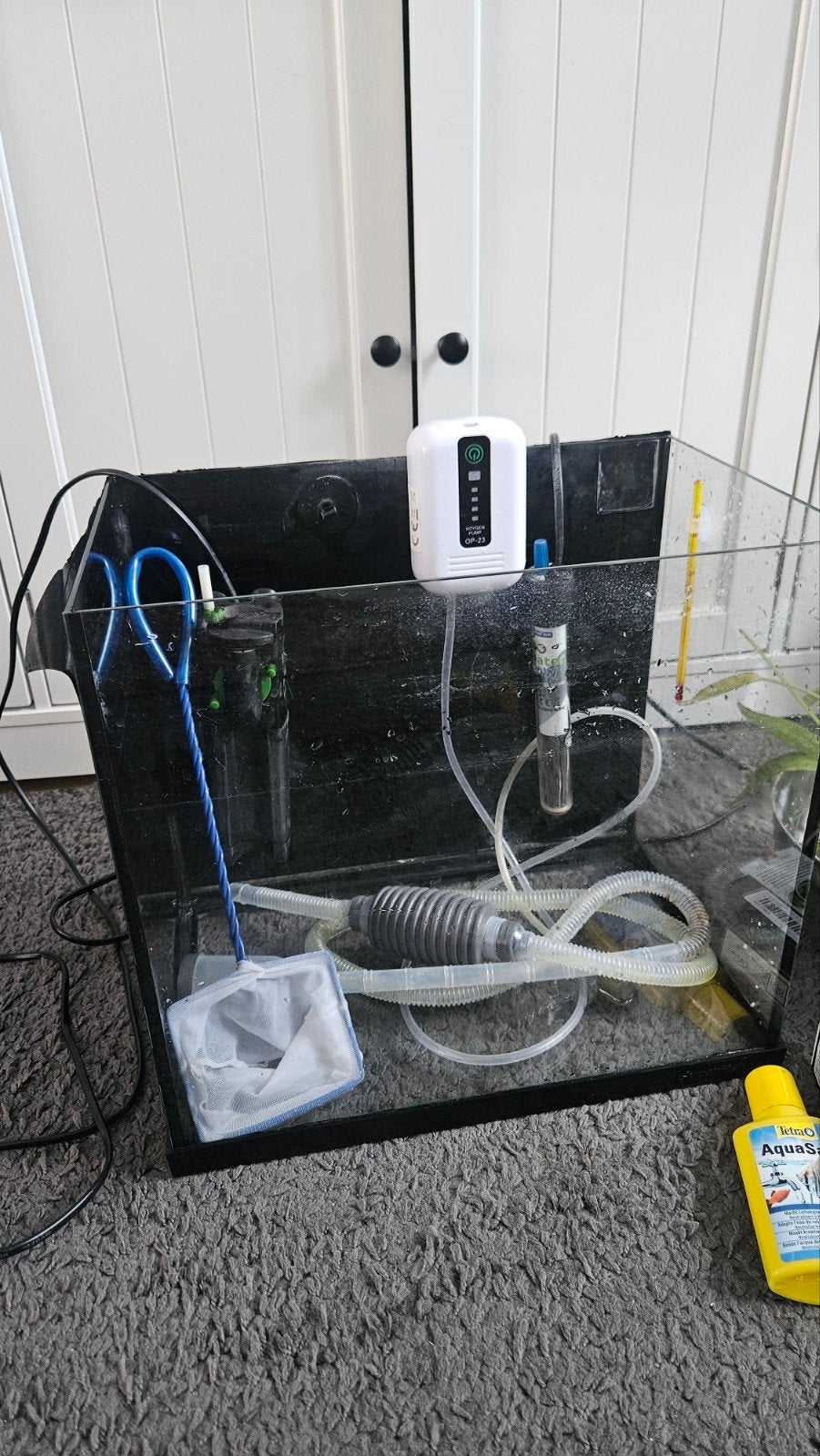 aquarium met vissen, Dieren en Toebehoren, Vissen | Aquaria en Toebehoren, Ophalen, Gevuld zoetwateraquarium