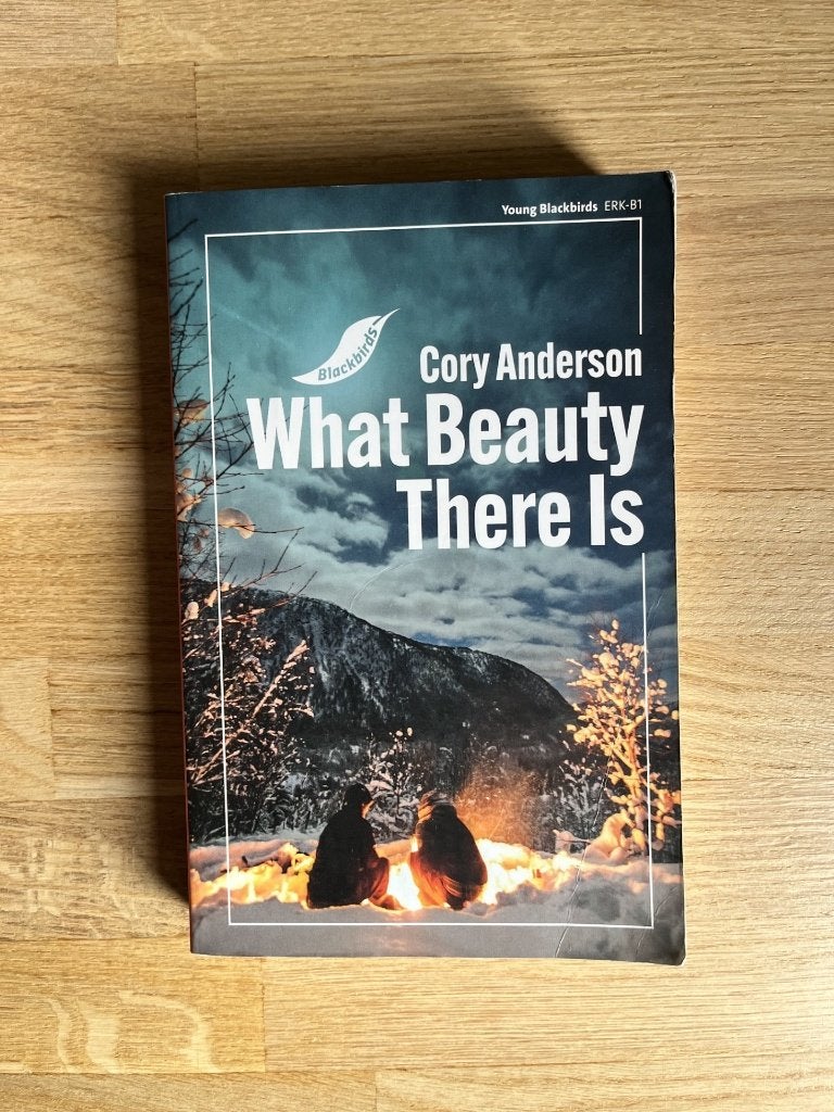 What Beauty There Is - Cory Anderson (young blackbirds), Boeken, Ophalen of Verzenden, Gelezen, Fictie