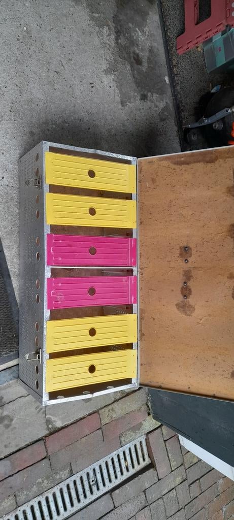 Duiven transportbox voor 6 duiven, Dieren en Toebehoren, Bijen